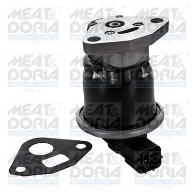 EGR Valve